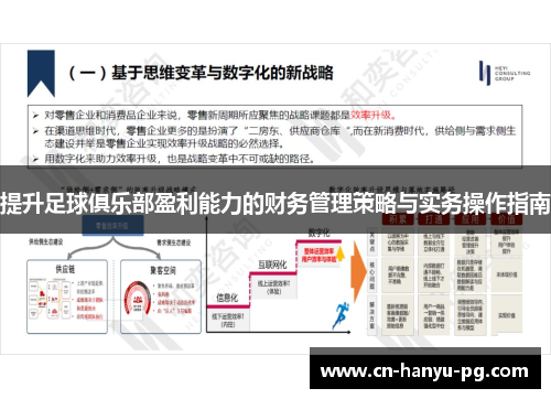 提升足球俱乐部盈利能力的财务管理策略与实务操作指南 提升足球俱乐部盈利能力的财务管理策略与实务操作指南