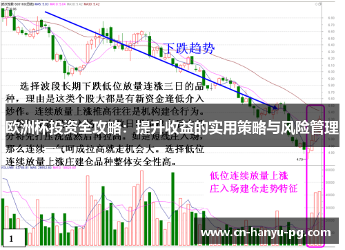欧洲杯投资全攻略：提升收益的实用策略与风险管理
