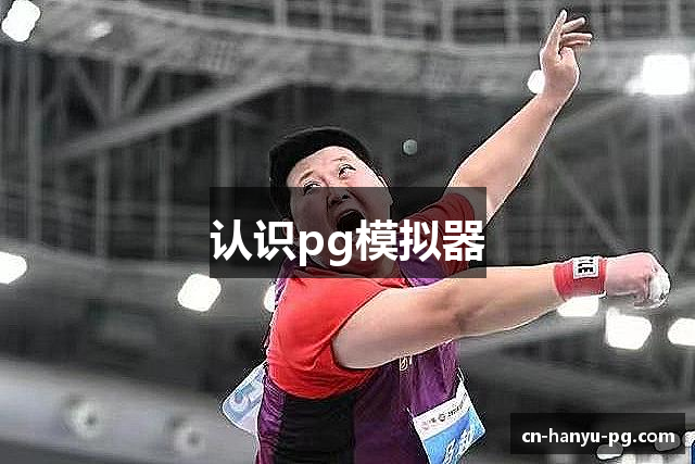 认识pg模拟器